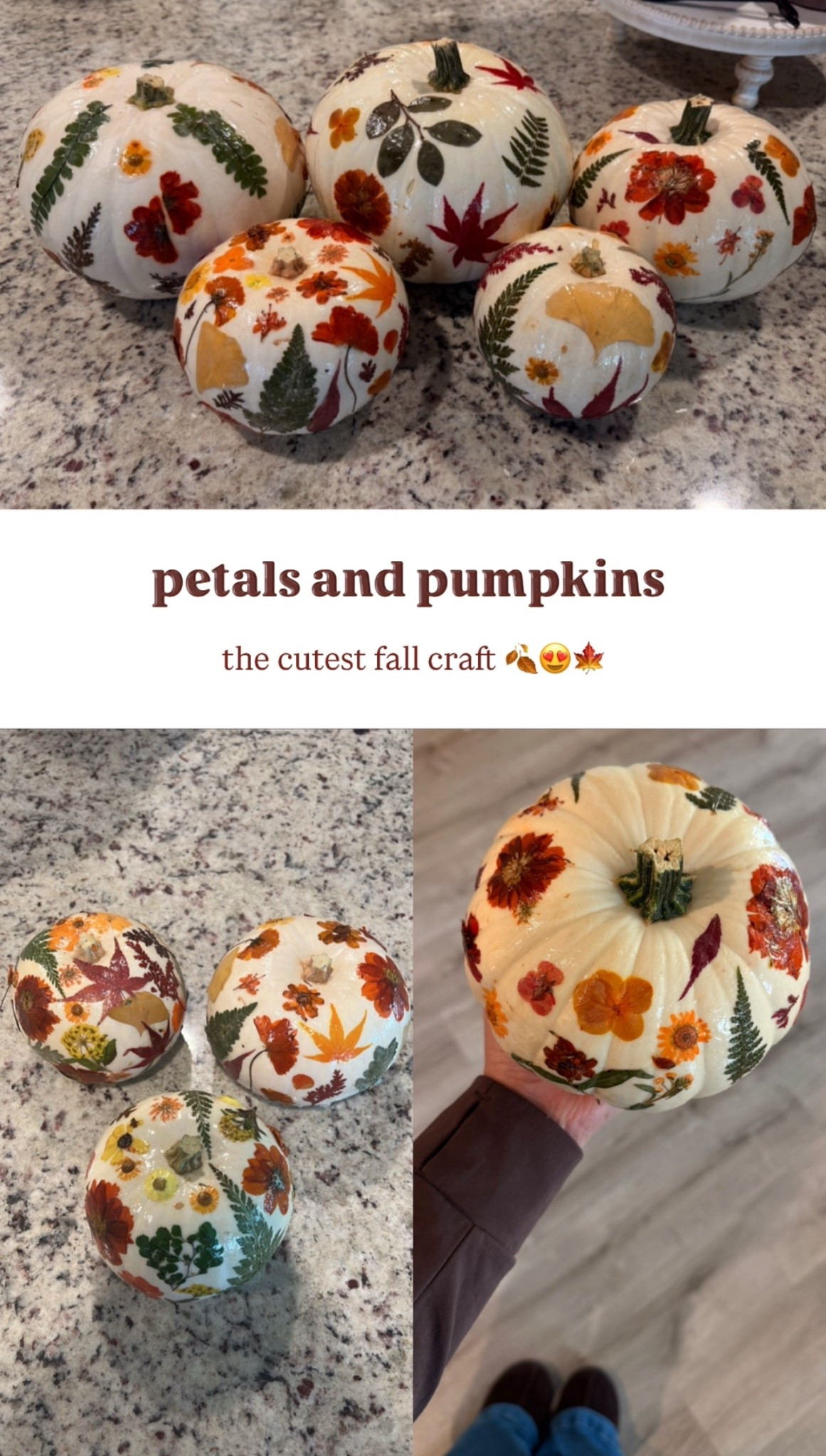 An easy and beautiful craft idea perfect for a fall girls night 😍

#LTKHalloween #LTKSeasonal #LTKFindsUnder50