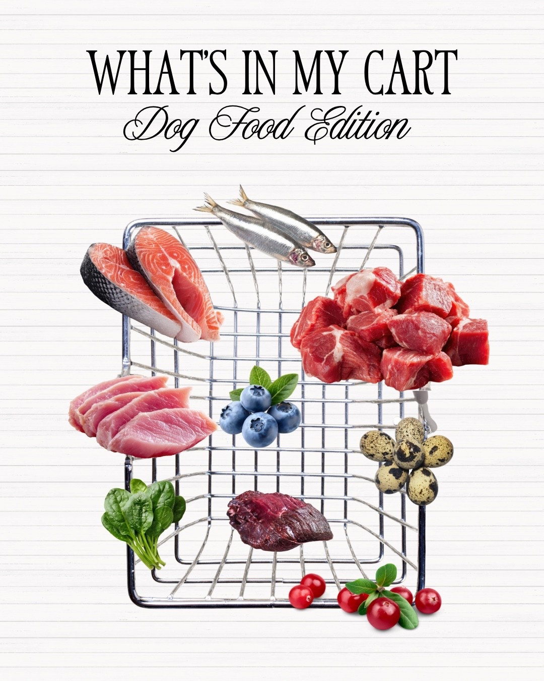 TAGGED BELOW: RAW FOOD BRANDS AVAILABLE ON thepetstore.com 🤍 #LTKPets