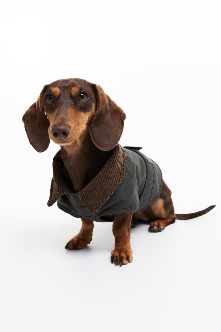 Gewachster Hundemantel - Dunkelgrün - Men | H&M AT | H&M (DE, AT, CH, NL, FI)