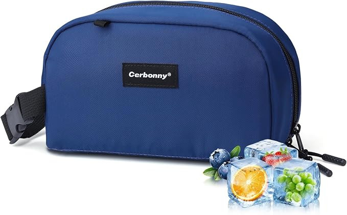 Cerbonny Small Cooler Bag,Freezable Lunch Bag,Built-in ice pack | Amazon (US)