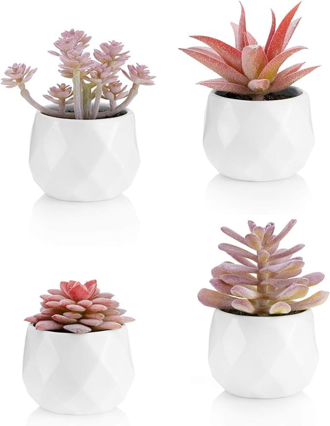 Viverie Faux Succulents in White Ceramic Pots for Desk, Office, Living Room, and Home Decoration ... | Amazon (US)