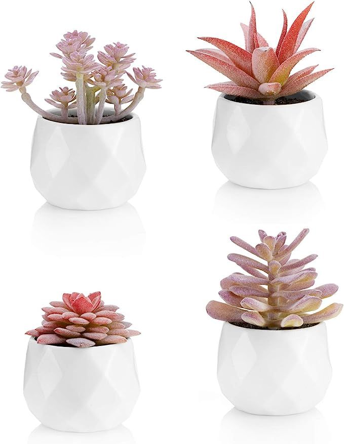 VIVERIE Faux Succulents in White Ceramic Pots (Set of 4) - Mini Life-Like Artificial Succulent Pl... | Amazon (US)