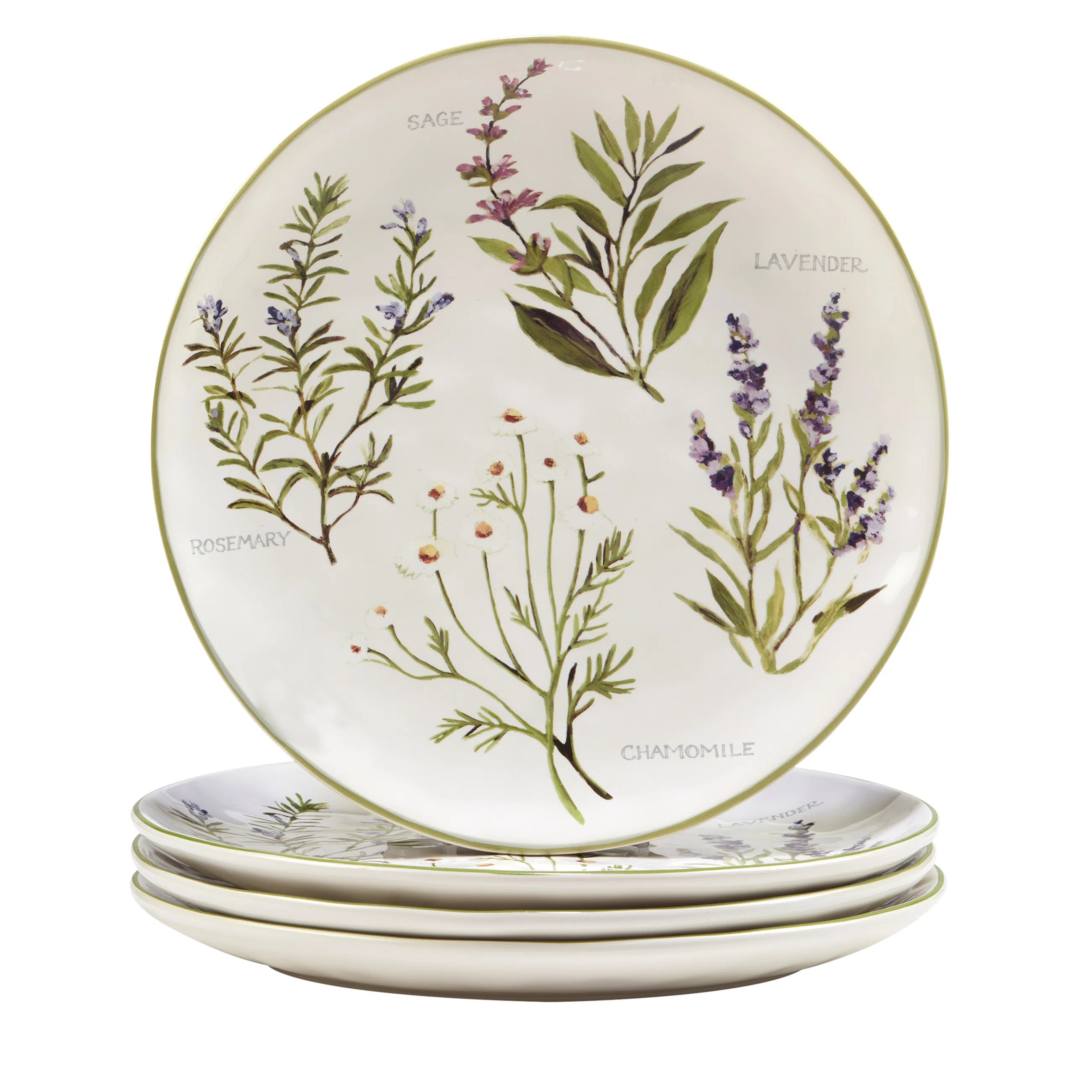 Certified International Fresh Herbs Set Of 4 Dinner Plates | Wayfair North America