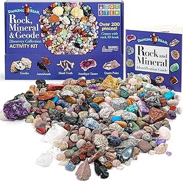 DANCING BEAR Rock & Mineral Collection Activity Kit (200+Pcs) with Geodes, Shark Teeth Fossils, A... | Amazon (US)