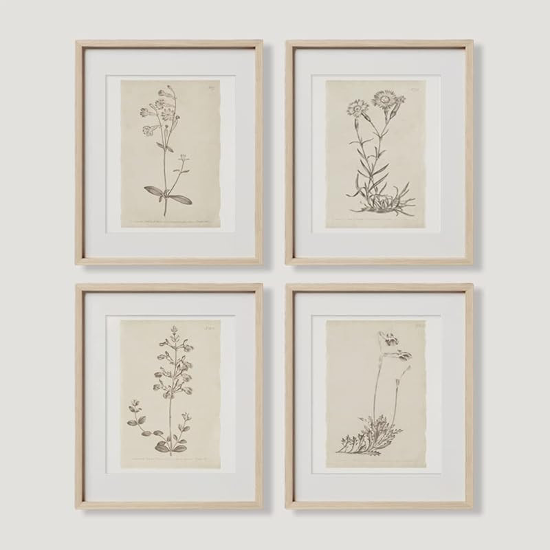 Vintage Botanical Plant Wall Art Prints - Neutral Minimalist Flower Posters Picture for Bedroom, ... | Amazon (US)