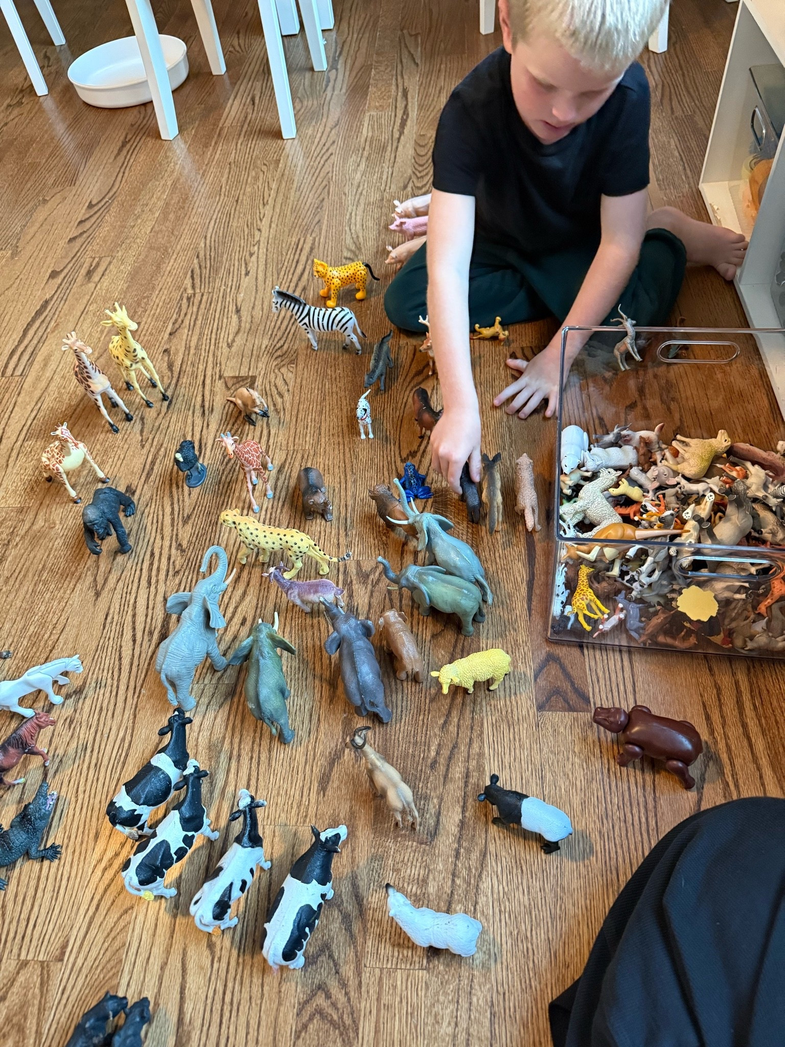 some of our favorite animal toys for pretend play

#LTKdayinmylife #LTKKids #LTKmomlife