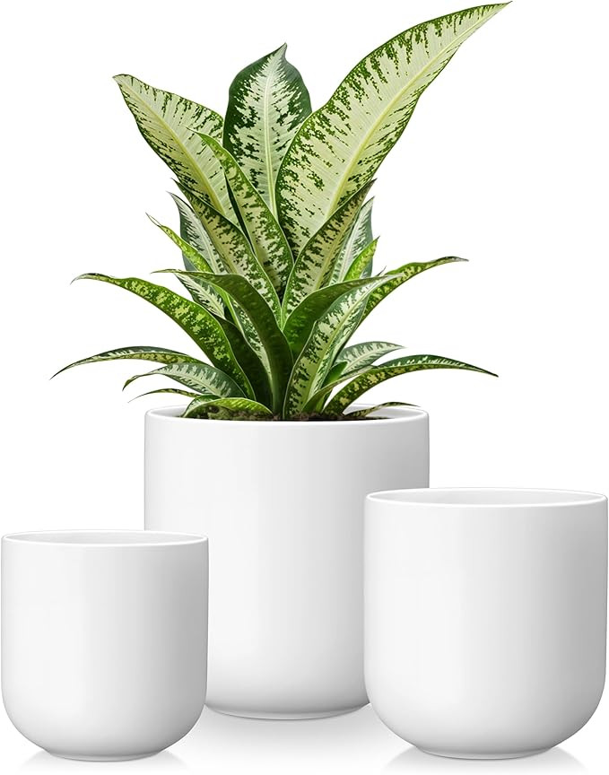 vancasso Ceramic Plant Pots, 4+5+6 inches, Set of 3, Planters with Drainage Hole, Flower Pots Pla... | Amazon (US)