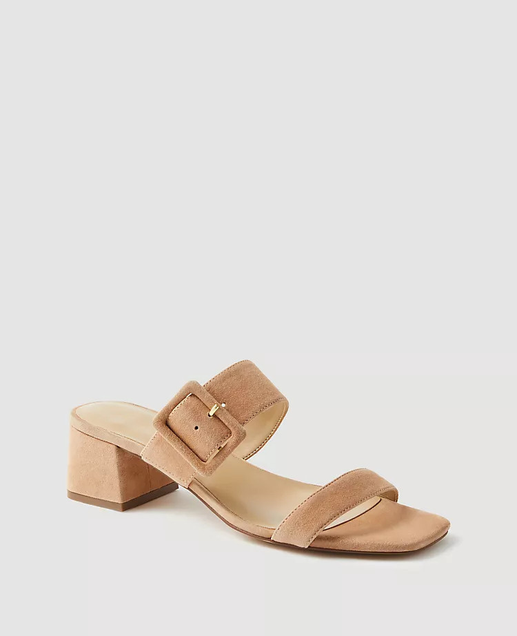 Suede Buckle Two Strap Sandals | Ann Taylor | Ann Taylor (US)