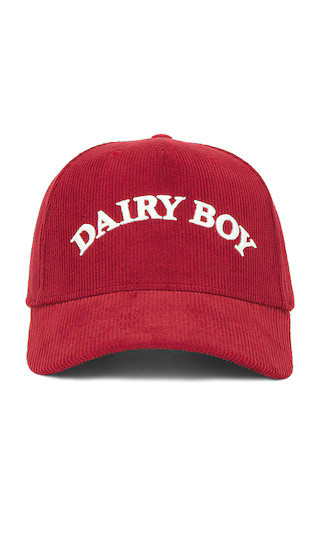 Dairy Boy Arch Corduroy Trucker Hat in Red. | Revolve Clothing (Global)