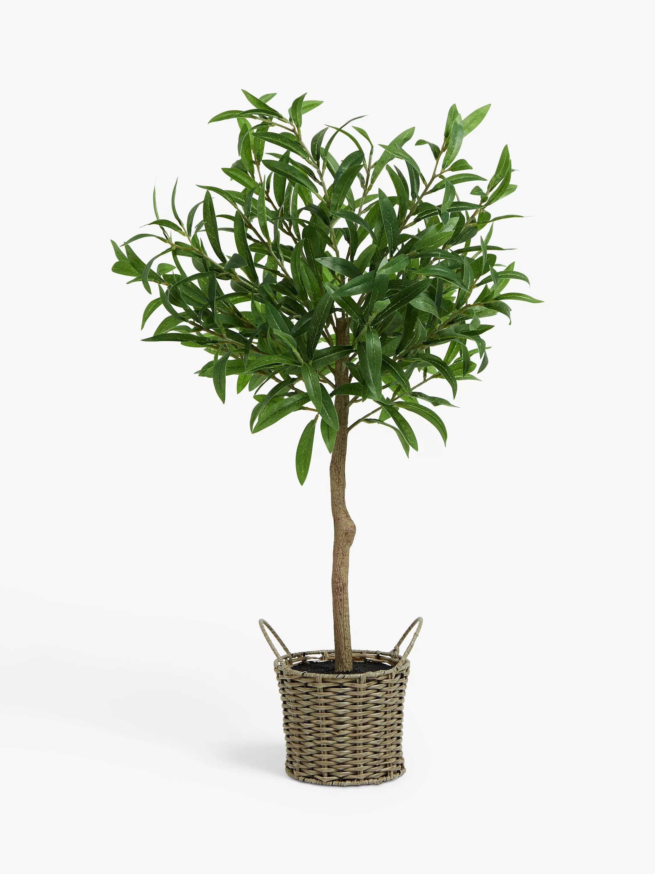 John Lewis Artificial Olive Tree in Wicker Basket, Natural/Green | John Lewis (UK)