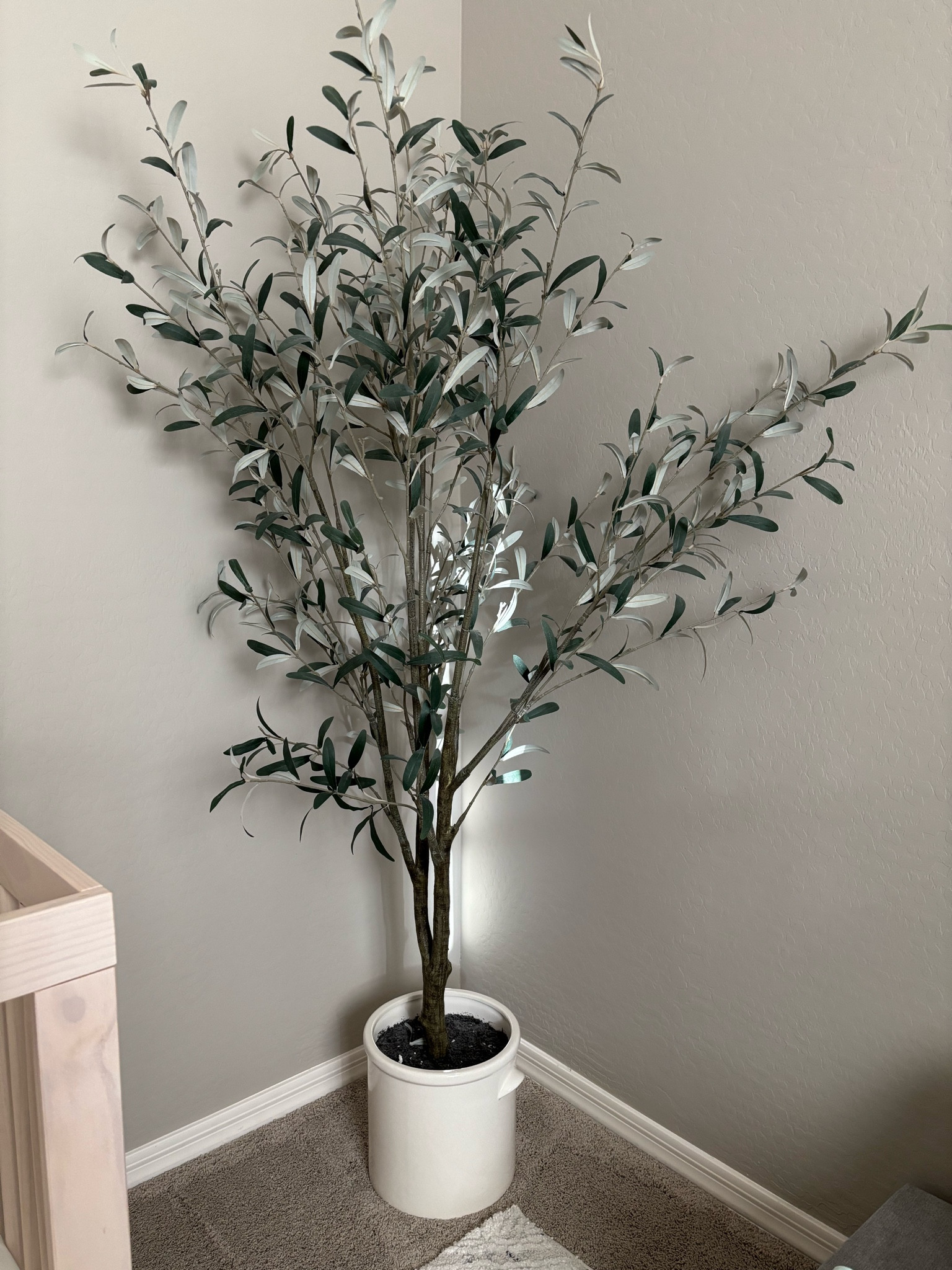 Target McGee tree — best seller!✨ 

#targethome #targetdecor #targetfinds #olivetree #targetolivetree #studiomcgee #mcgee #studiomcgeeolivetree #studiomcgeedecor #targetstudiomcgee #artificialtree #targetartificialtree #bestseller#homefinds #homedecor #decorinspo #nurseryroom #nurseryideas #livingroomdecor ##nurseryroomdecor #bedroomdecor #babyboynursery #kidsroom #targetsale #targetdeals #targetbestseller#mcgeeartificialtree #decorinspo #neutralnursery #homerefresh


#LTKHome #LTKFindsUnder100 #LTKFamily