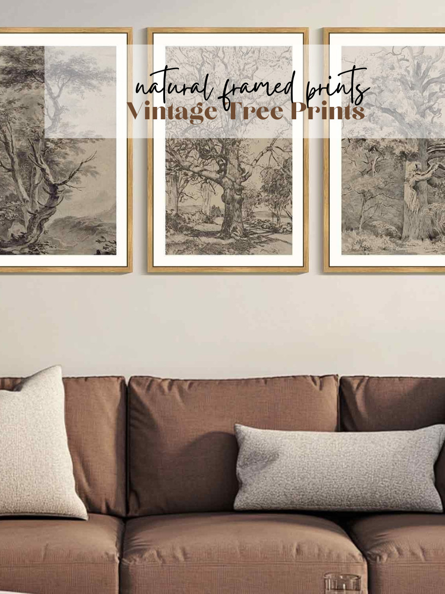 How gorgeous are these vintage-inspired framed canvas prints from Walmart! It comes in a set of three 24" x 36" prints. 

 #LTKSeasonal #LTKHome