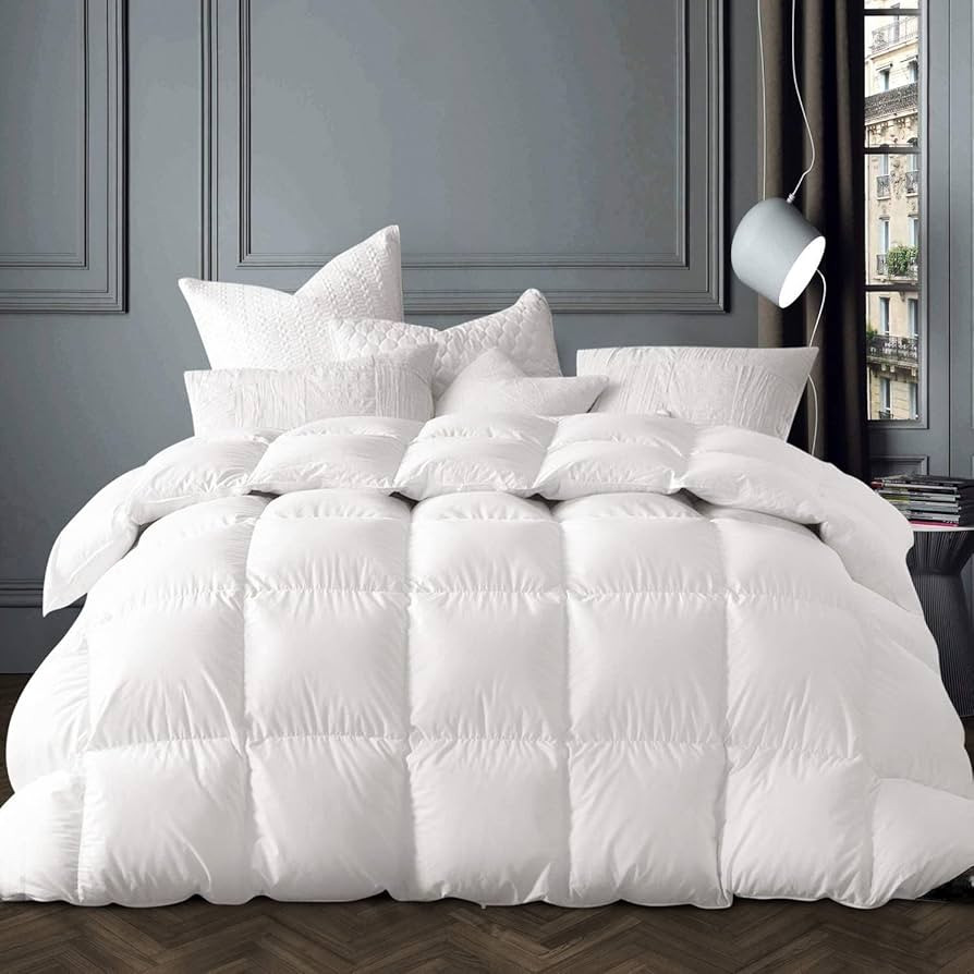 Globon Winter White Goose Down Comforter King Size,Down Duvet Insert, 800 Fill Power, 420 Thread ... | Amazon (US)