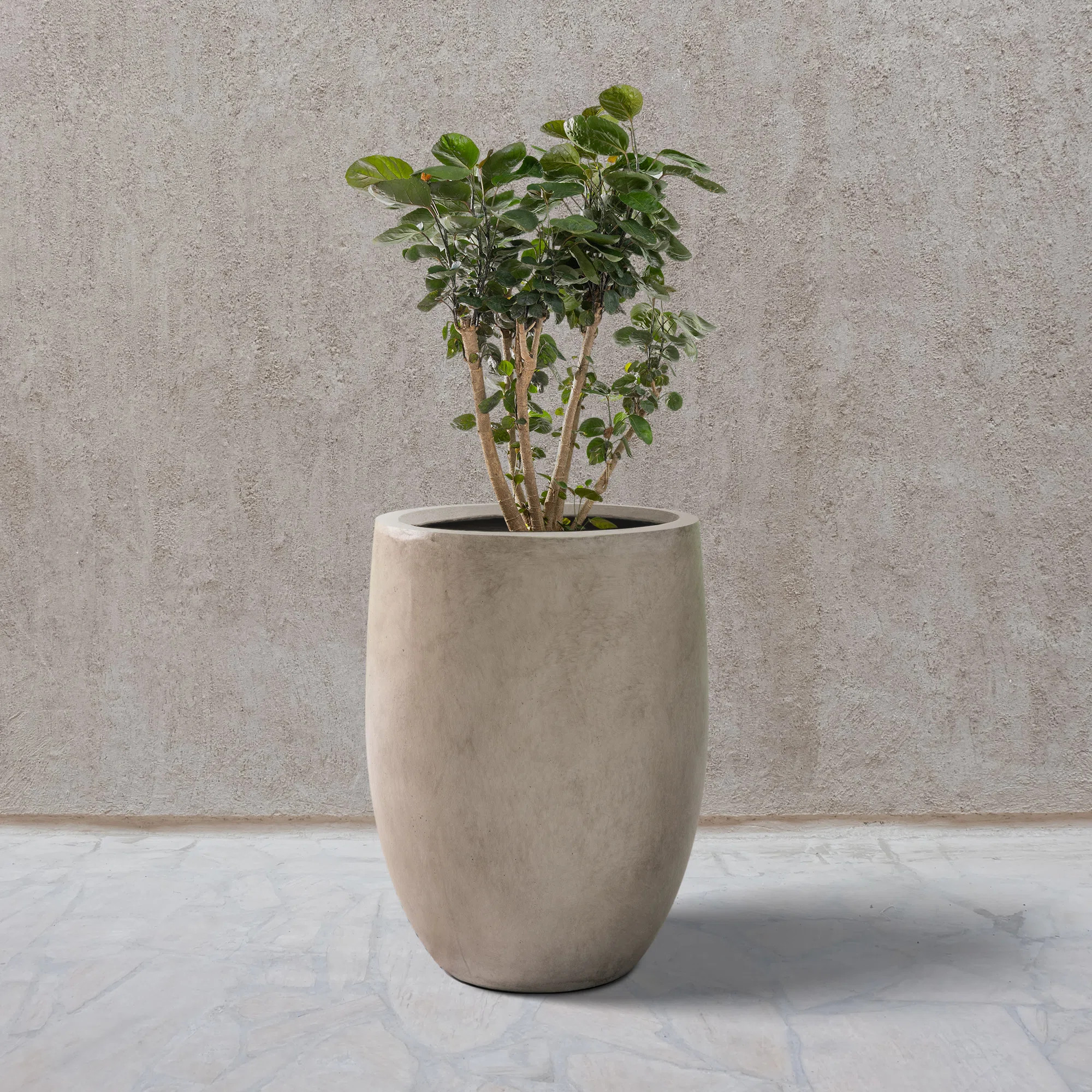 Gethsemane Pot Planter | Wayfair North America