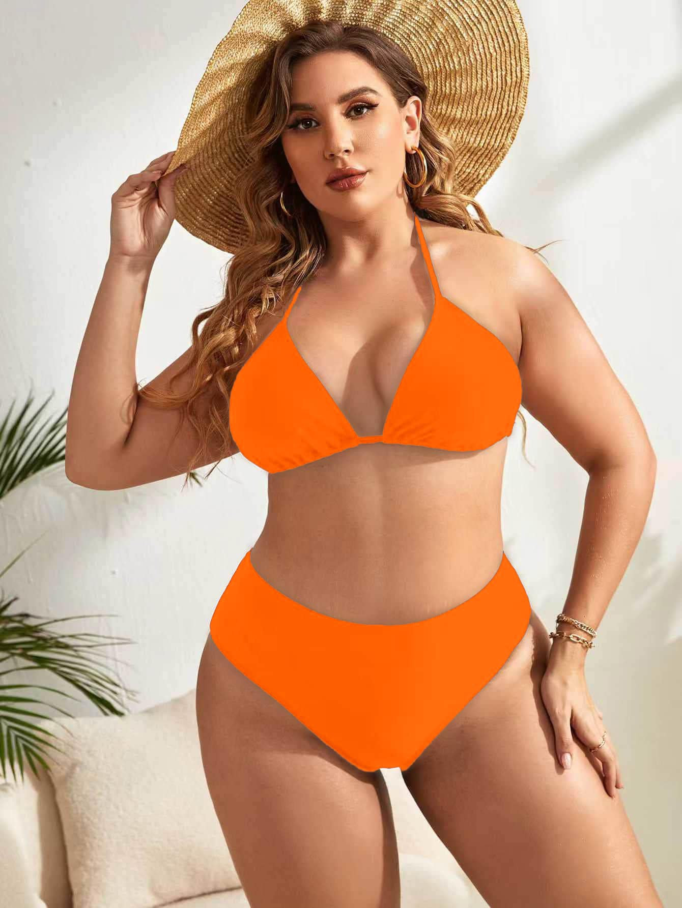 Plus Halter Triangle High Waisted Bikini Swimsuit | SHEIN