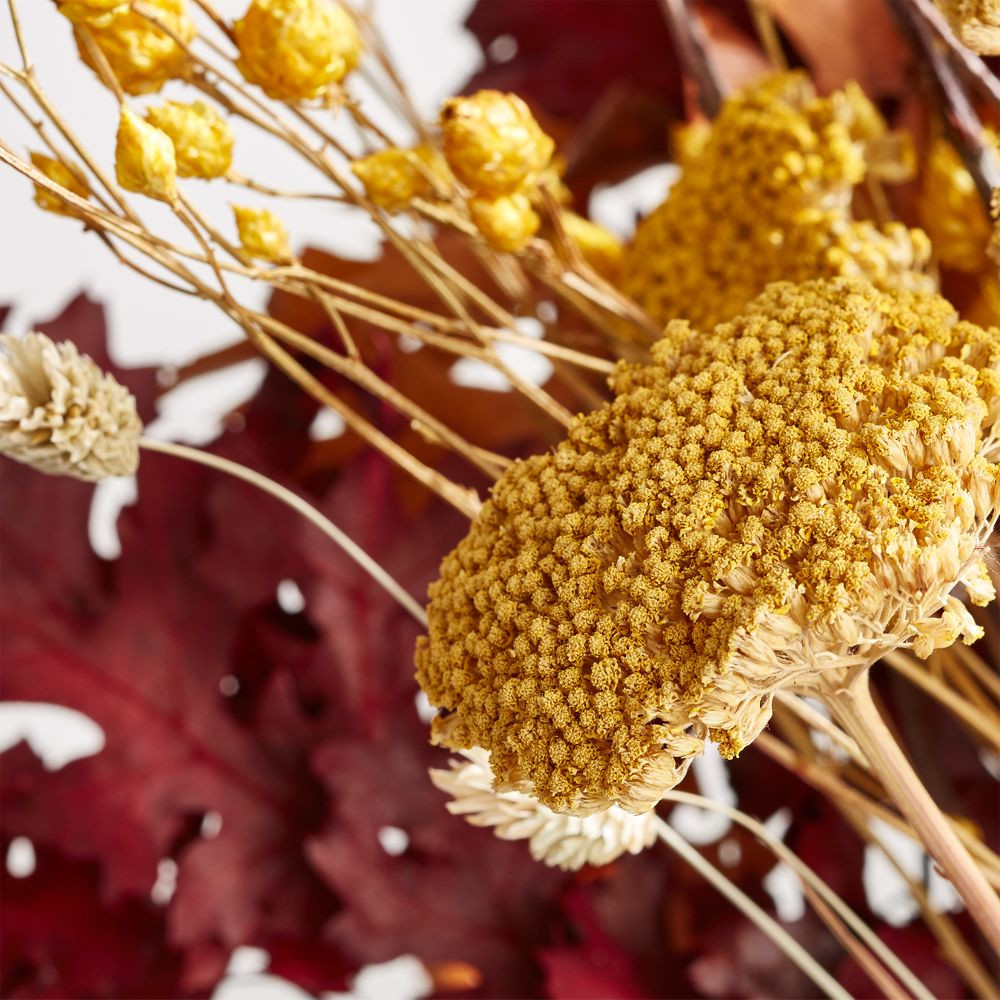 Natural Harvest Bunch | Crate & Barrel