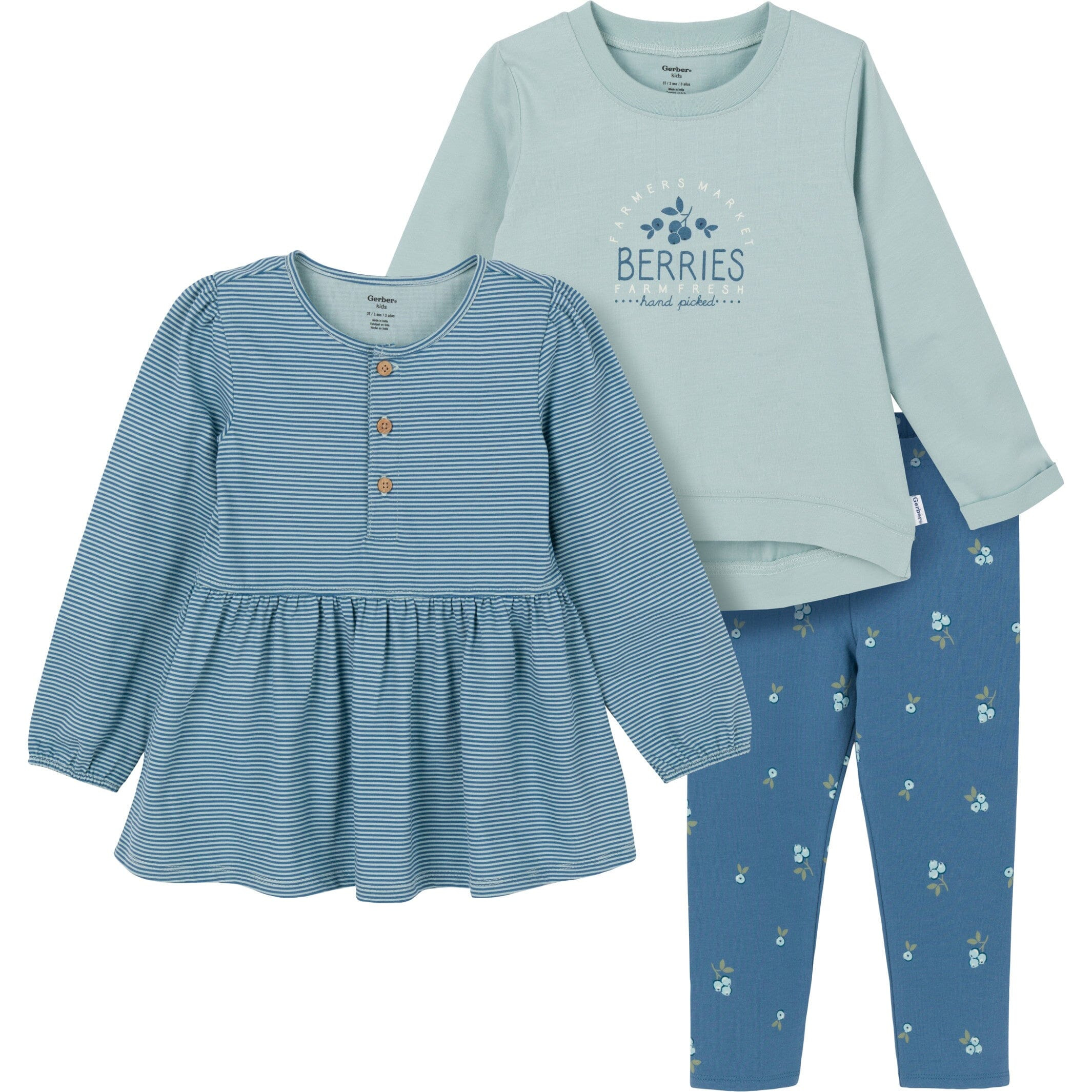 3-Piece Toddler Girls Blueberries Tunics and Leggings Set | Gerber Childrenswear