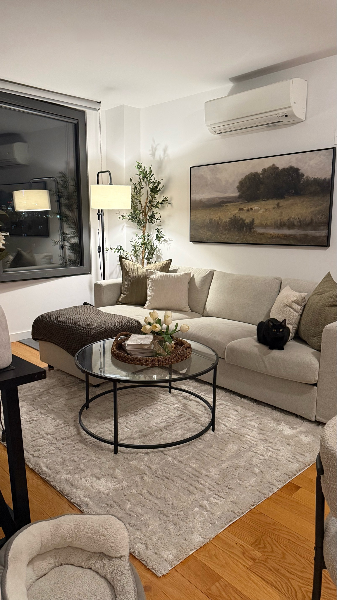 Cozy night at home with my girl 🖤🐈‍⬛ #apartmentdecor #aestheticapartment #homedecor #nyc

#LTKHome #LTKootd #LTKdayinmylife