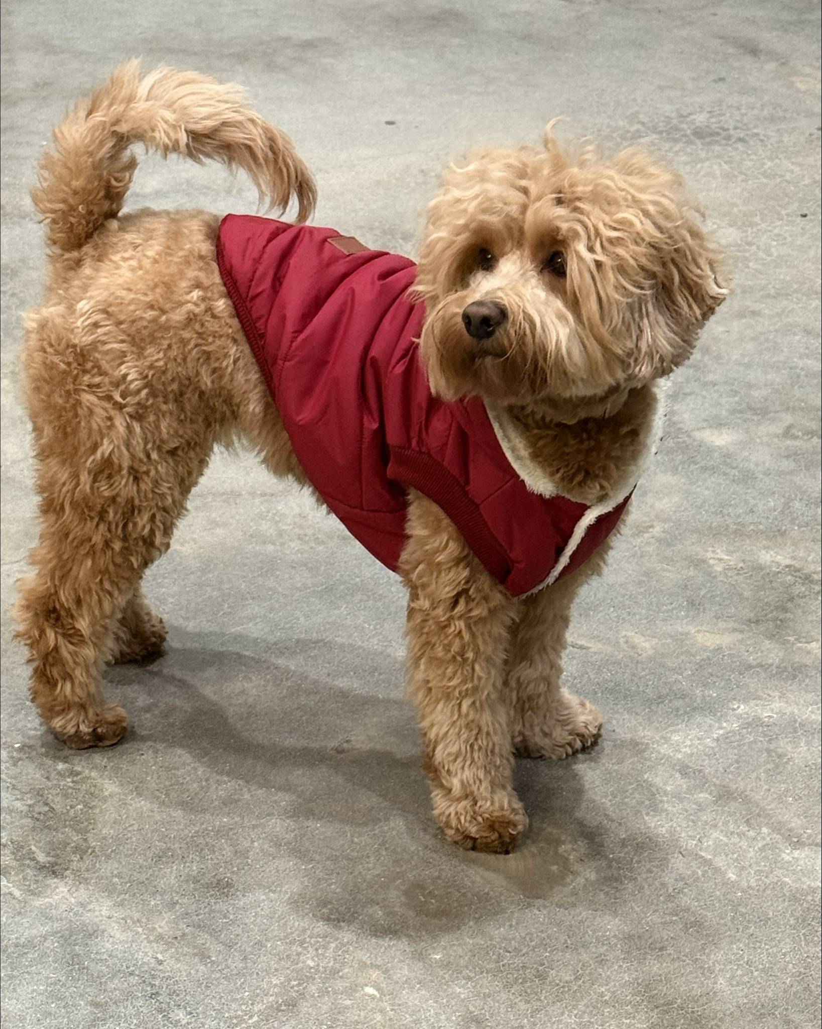 Texas freeze 26 day 1

#LTKHome #LTKdayinmylife