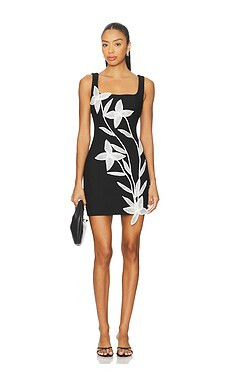 ELLIATT Ilaria Mini Dress in Black from Revolve.com | Revolve Clothing (Global)