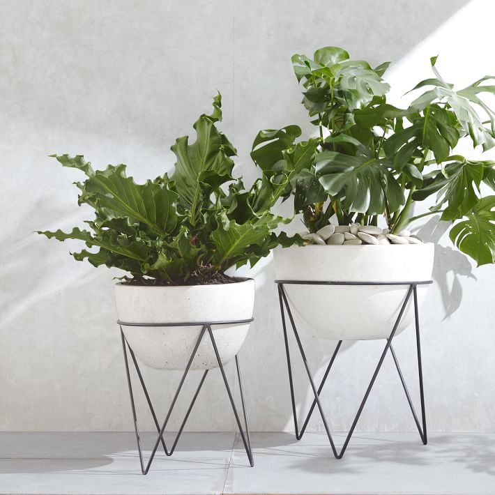 Iris Indoor/Outdoor Planters | West Elm (US)