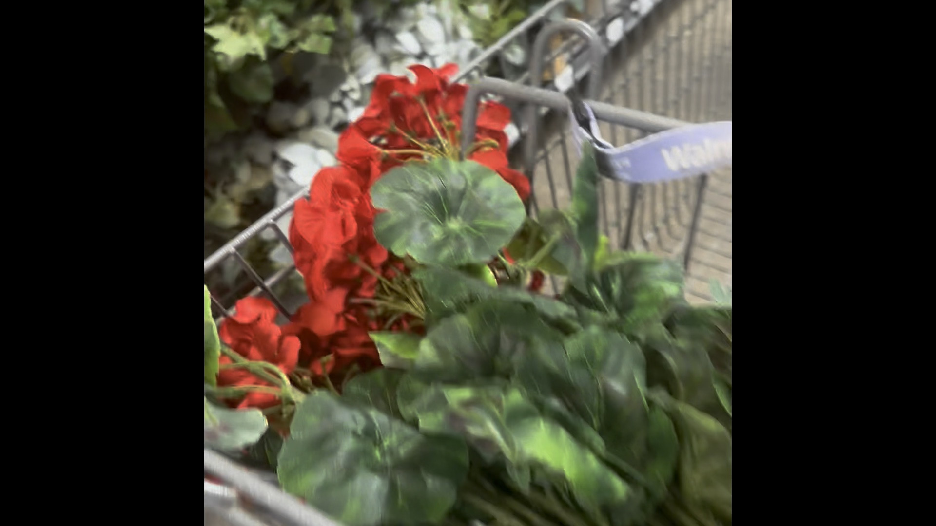 Refresh faded florals for updated curb appeal!

#LTKSeasonal #LTKhome #LTKBacktoSchool