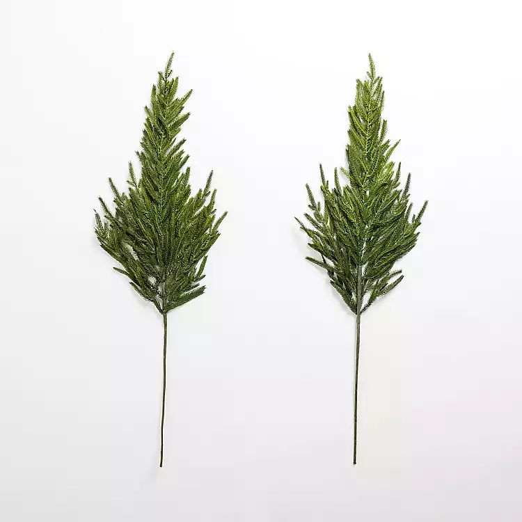 New! Norfolk Natural Touch Pine Tree Stems, Set of 2 | Kirkland's Home
