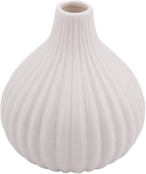 AUNMAS Modern Ceramic Vase Simple Flower Vase for Roses Home Room Table Desktop Decoration Orname... | Amazon (US)