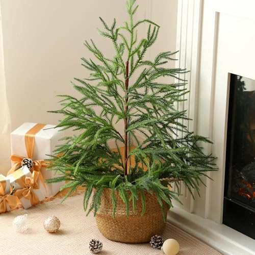 XunYee 1 Pcs 3FT Christmas Norfolk Pine Tree, Artificial Norfolk Pine Tree Potted Decoration, Green Faux Norfolk Pine with Pot Plants for Indoor Outdoor Home Porch Holiday Decor | Amazon (US)