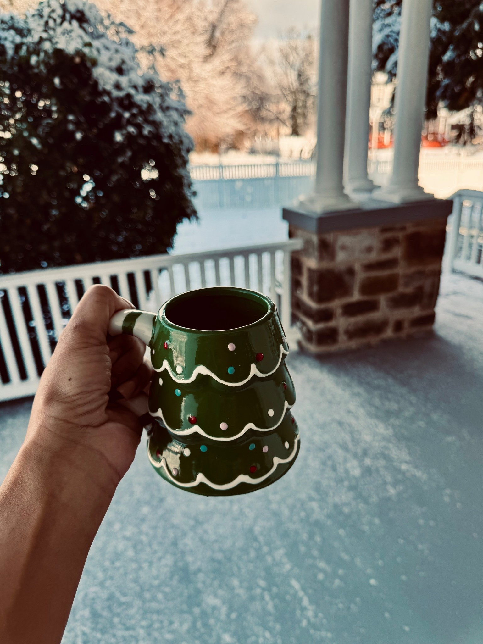 #LTKGiftGuide #LTKfoodie #LTKHoliday