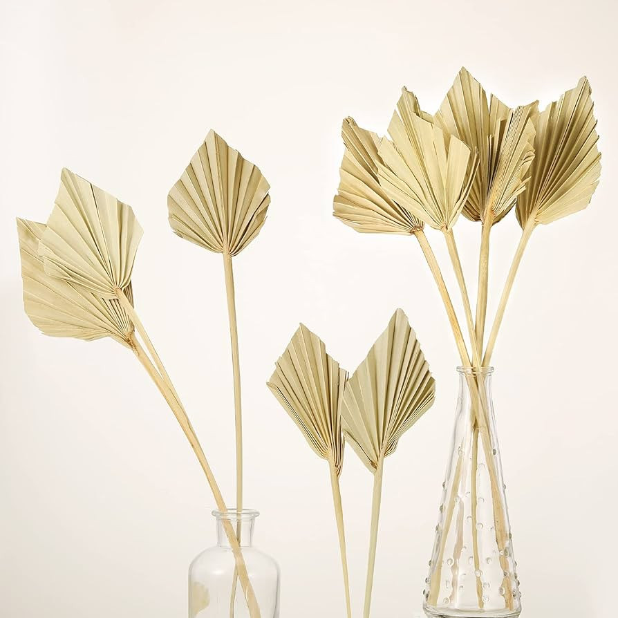 Boho Dried Palm Spears Small Natural Dried Palm Fans Dried Palm Leaves Dried Palm Leaf Palm Fan L... | Amazon (US)