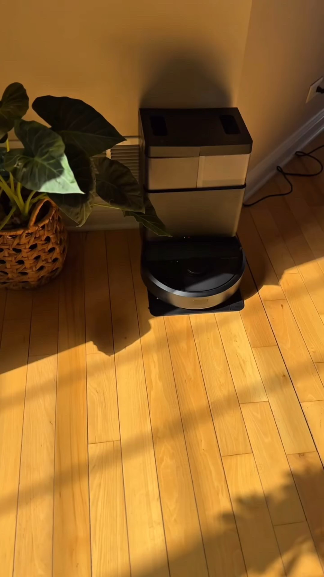 Day in the life Roomba 405 combo Cleaning your hardwood floors tile or carpet with DualClean™ Mop Pads and 70X suction power make messes disappear don’t forget it has laser technology to navigate making it pet friendly. 

Día en la vida del Roomba 405 Combo: limpia tus pisos de madera, baldosas o alfombras con las almohadillas DualClean™ y una potencia de succión 70 veces superior para hacer desaparecer la suciedad. No olvides que cuenta con tecnología láser para navegar, lo que lo hace apto para hogares con mascotas.

* The Copyright to this content 
( PICTURES,VIEDO AND RELATED MEDIA CAPTION ) Belongs solely @Perla_Gharbi  Any usage of it without my permission grated is a violation of my rights. Tags, or Any use of Hashtags do not denote Permission. 

♡ THANK YOU Perla Gharbi ♡

#roomba #roombaplus405 #iRobotInnovation #smarthomecleaning #smartcleaning #homeneeds #effortlesscleaning #homegadgets #casalimpia #NextGenCleaning #PetFriendlyCleaning 
#dayinmyliferoutine

#LTKGiftGuide #LTKPets #LTKFamily