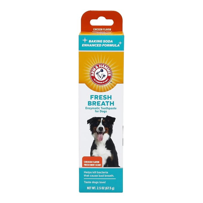 Arm & Hammer for Pets Dental Enzymatic Toothpaste for Dogs | No More Doggie Breath | Dog Toothpas... | Amazon (US)