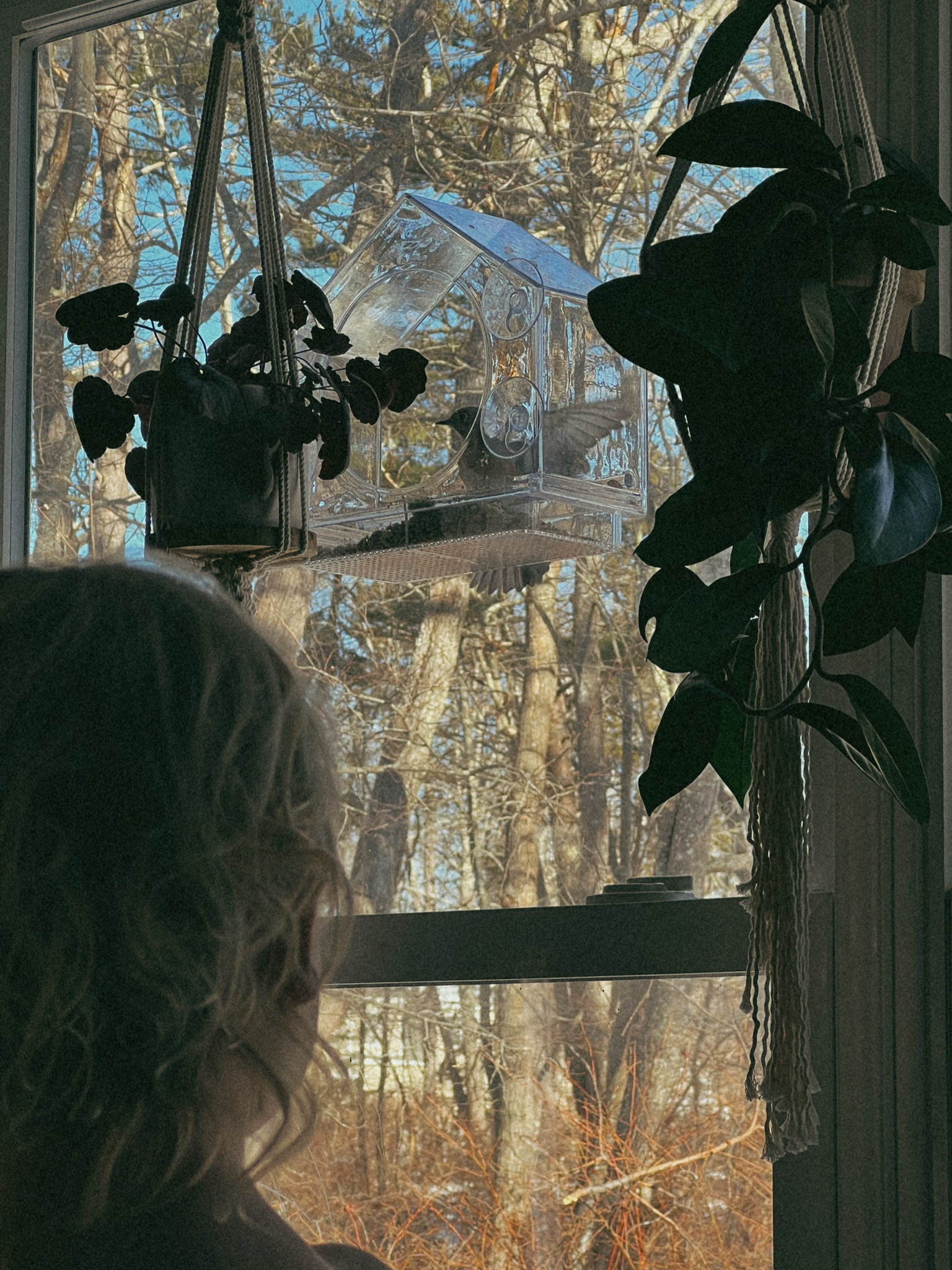 The best entertainment ever🥰🐦 our favorite bird essentials🤍

#LTKfamily #LTKMostLoved #LTKfindsunder100