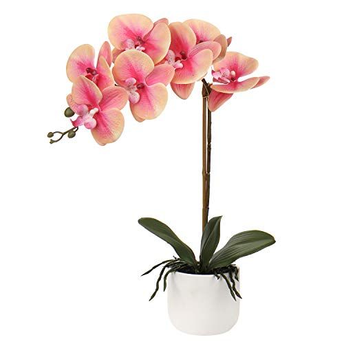 Faux Orchid Plant in Pot,Orchids Artificial,Orchid Arrangement ,Pink Artificial Flowers Orchids 11 H | Amazon (US)
