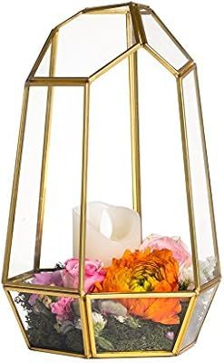 9.8inches Glass Terrarium Planter Geometric Decor Box NCYP Centerpiece for Wedding Coffee Table I... | Amazon (US)