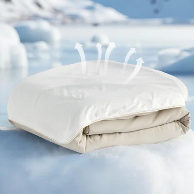 Bedsure Sherpa Blanket Size for Couch - Super Soft Cozy Fleece Thick Warm Blanket for Winter, Plush Sky Blue Throw Gift for Women, 60x80 Inches | Wayfair North America