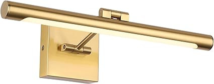 Joosenhouse LED Picture Light Fixtures Dimmable 16.54" Inch Modern Metal Artwork Hallway Lamps wi... | Amazon (US)