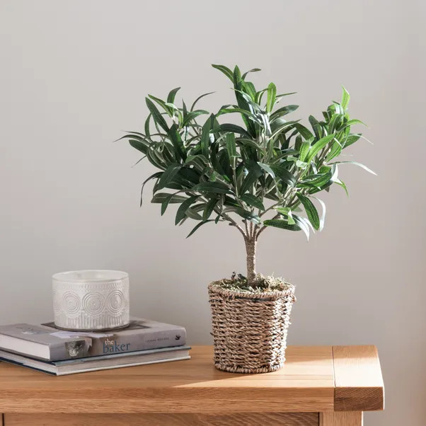Churchgate Artificial Olive Tree in Basket | Dunelm (migrated)