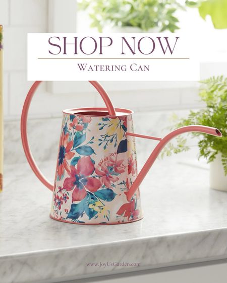 Get yourself a decorative watering can for your indoor house plant needs. 

#LTKfindsunder100 #LTKSpringSale #LTKhome