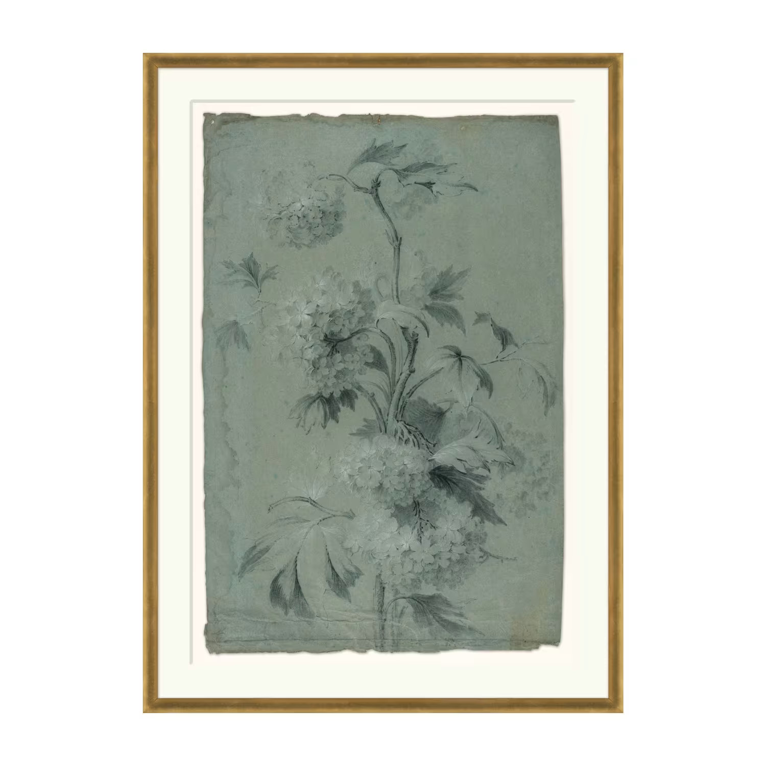 Flourish in Time | Magnolia