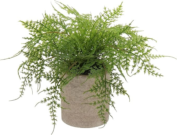 Briful Small Fake Plant Potted Plants Artificial Decor Silk Asparagus Ferns Plant Faux Plants in ... | Amazon (US)