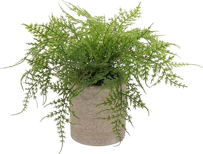 Small Fake Plant Potted Plants Artificial Decor Silk Ferns Plant Faux Plants in Pots for Home Liv... | Amazon (US)