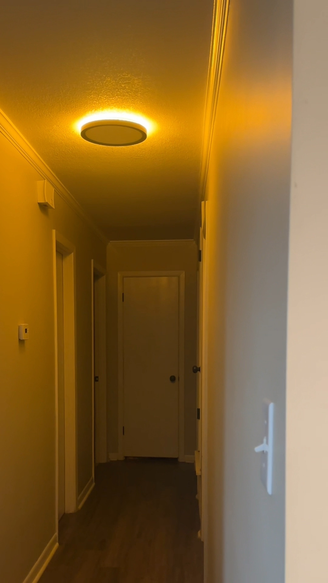 The perfect light fixture 💡 

#LTKHome #LTKVideo #LTKFindsUnder50