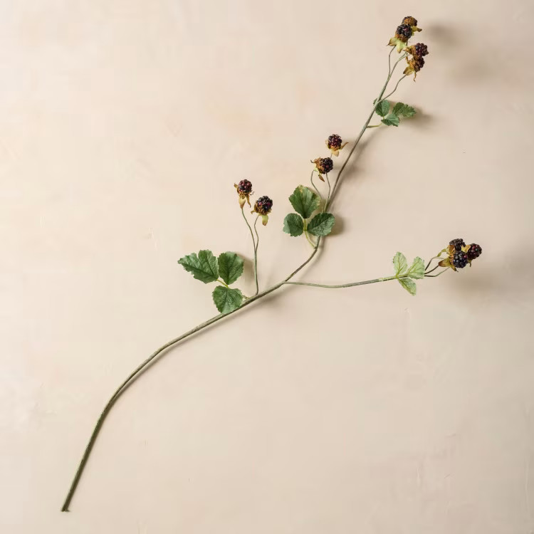 Blackberry Bush Spray | Magnolia