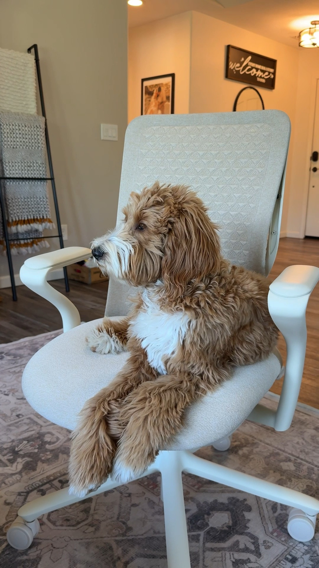 Your work from home office just got upgraded!

#LTKHome