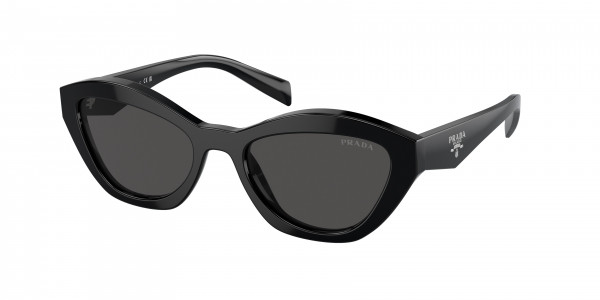 Prada PR A02S Sunglasses | Free Shipping | EZ Contacts
