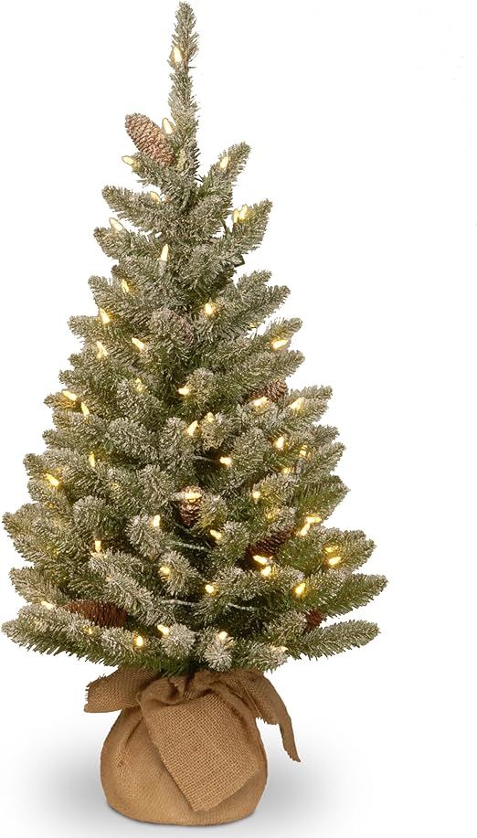 National Tree Company Pre-lit Artificial Mini Christmas Tree | Includes Small White LED Lights an... | Amazon (US)