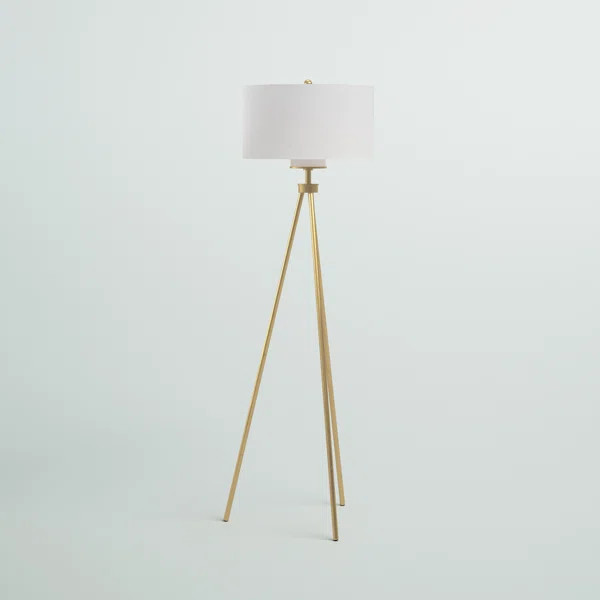 Parkhill 65'' Tripod Floor Lamp | Wayfair North America