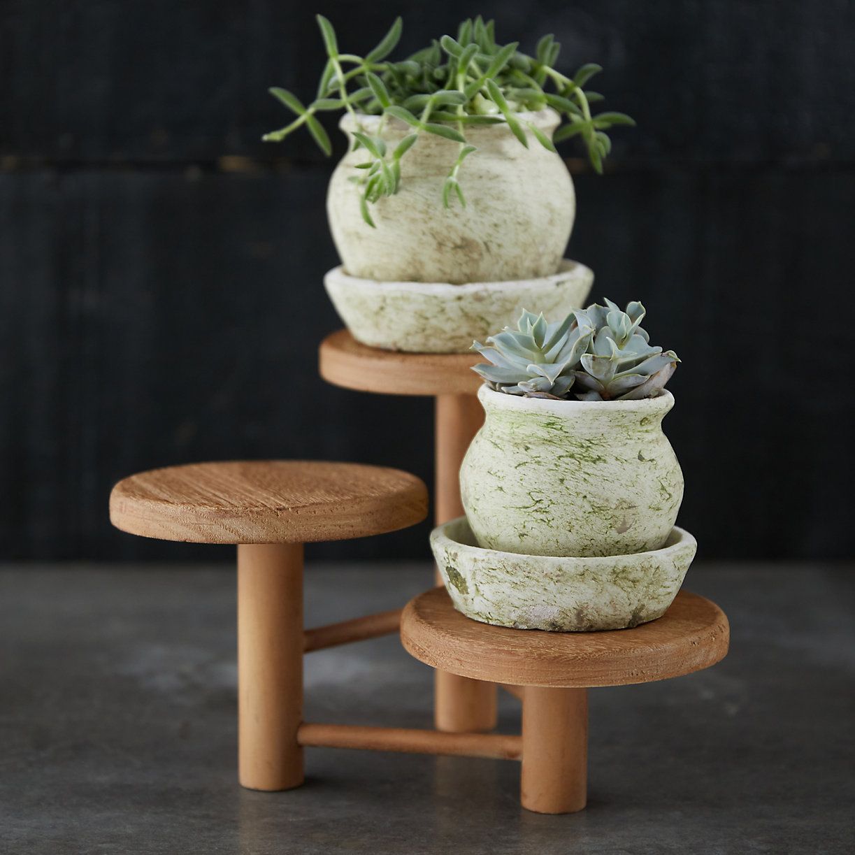 3 Tier Wood Plant Stand | Terrain